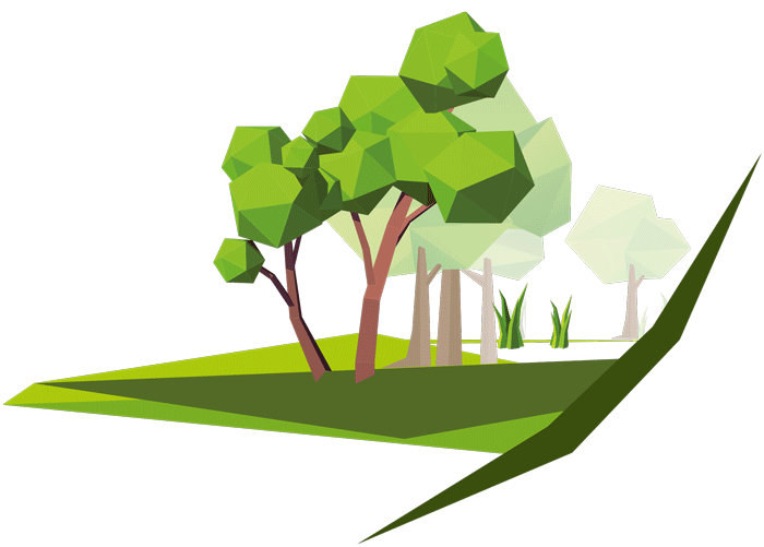 Illustration d'un arbre, symbole de l'engagement environnemental de Compédit Beauregard
